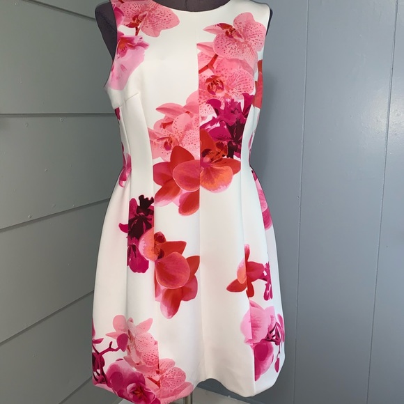 Calvin Klein Dresses & Skirts - Calvin Klein Orchid Print Dress Flares bottom 12